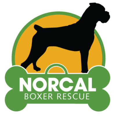 norcal boxer rescue logo